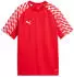 Puma teamLIGA26 Trikot Jr (659723-01) puma red/puma white