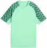 Puma teamLIGA26 Trikot Jr (659723-01) puma red/puma white