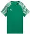 Puma teamLIGA26 Trikot Jr (659723-01) puma red/puma white