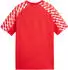 Puma teamLIGA26 Trikot Jr (659723-01) puma red/puma white