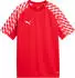 Puma teamLIGA26 Trikot Jr (659723-01) puma red/puma white