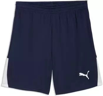 Puma teamLIGA26 Shorts (706554-06) puma navy/puma white
