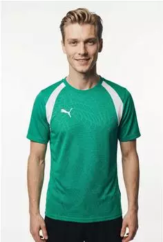 Puma teamLIGA26 Schiedsrichtertrikot (659675) sport green/puma white