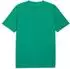 Puma teamLIGA26 Schiedsrichtertrikot (659675) sport green/puma white