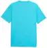 Puma teamLIGA26 Schiedsrichtertrikot (706557) bright aqua/puma black/team silver
