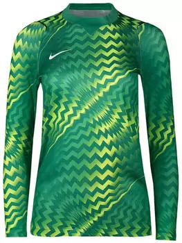 Nike Dri-FIT Gardien VI Torwarttrikot (HV8308-324) stadium green/white
