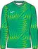 Nike Dri-FIT Gardien VI Torwarttrikot (HV8308-324) stadium green/white