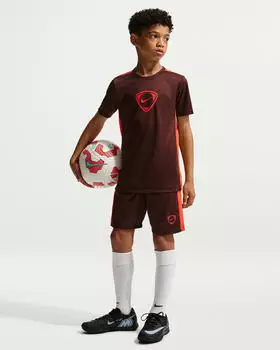 Nike Academy Dri-FIT Fußball-Shorts ca. 18 cm; ältere Kinder (HJ3718) dunkelrot