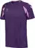 Hummel hmlCORE 2.0 Trikot S/S (230826-3935) rot