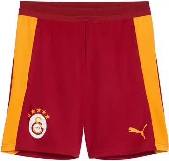 Puma Galatasaray Istanbul Training Short (786812) rot
