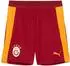 Puma Galatasaray Istanbul Training Short (786812) rot