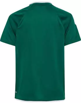 Hummel Core 2.0 Trikot S/S (230827) evergreen/white