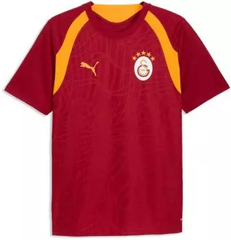 Puma Galatasaray S.K. Slim Trainingstrikot Herren Accessoires Rot (786805_01)