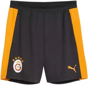 Puma Galatasaray Istanbul Trainingsshorts 2026/27 (786812-06) flat dark gray/summer sunset