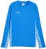 Puma teamLIGA26 Training 1/4 Zip Top (659727) electro royal/puma white