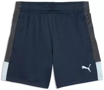 Puma Individualliga Training Shorts Jr Knit Shorts (660575) blau