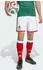 Adidas Mexiko Trikot 2026