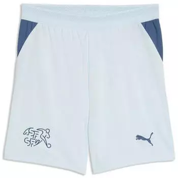 Puma SFV Schweiz Shorts WM 2026 Kinder (783234) sea glass/dark indigo