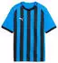 Puma teamLIGA26 Gestreiftes Trikot Jr (706551) electro royal/puma white/puma black