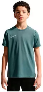 Nike Nike Academy Dri-FIT Kurzarm-Fu&szlig;balloberteil (HJ3716) pink