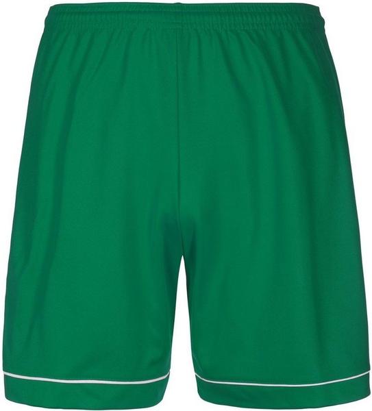 Adidas Squadra 17 Shorts grün