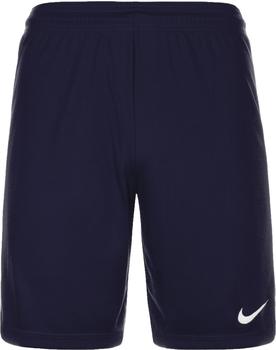 Nike Park II Shorts dunkelblau