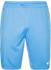 Nike Park II Shorts