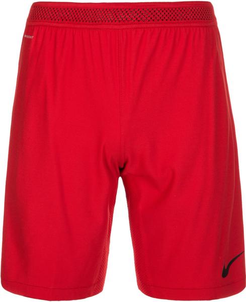 Nike Vapor I Shorts