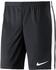 Nike Dry Academy Shorts