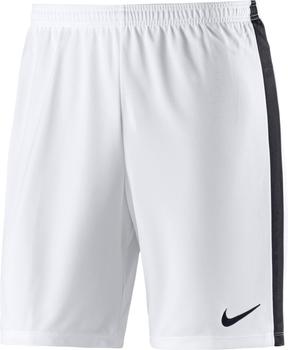 Nike Dry Academy Shorts white/black