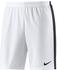 Nike Dry Academy Shorts
