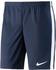 Nike Dry Academy Shorts