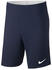 Nike Dri-FIT Academy 18 Shorts