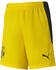 Puma Borussia Dortmund Replica Football Shorts Kids yellow