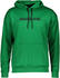 Nike Pullover Football Hoodie Nigeria (CU1413) pine green/black