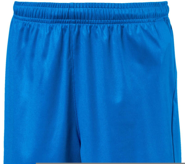 Puma Fußball Kinder LIGA Core Shorts (703437) blau/weiß