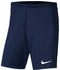 Nike Dri-FIT Park 3 Shorts (BV6855)