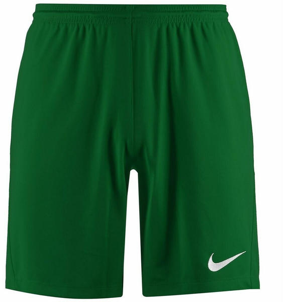 Nike Dri-FIT Park 3 Shorts (BV6855) pine green/white