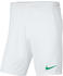 Nike Dri-FIT Park 3 Shorts (BV6855) white/pine green