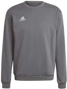 Adidas Kinder Entrada 22 Sweat Top (H57477) team grey four