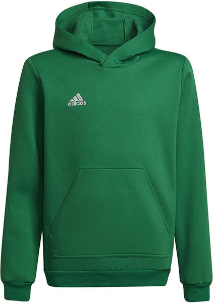 Adidas Kids Football Entrada 22 Sweat Hoodie team green/white (HI2143)