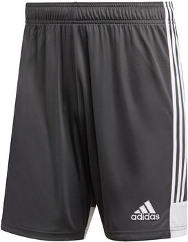 Adidas Tastigo 19 Shorts solid grey/white (DP3255)