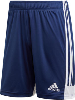 Adidas Tastigo 19 Shorts dark blue (DP3245)