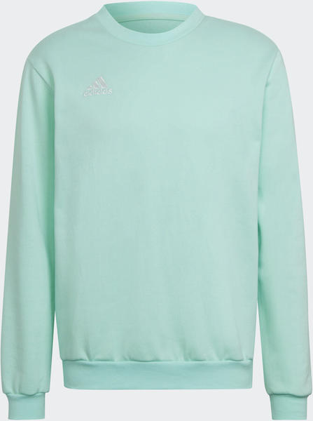 Adidas Entrada 22 Sweatshirt clear mint