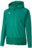 Puma Herren Regenjacke teamGOAL 23 Training Rain Jacket