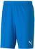 Puma Herren Short teamGOAL 23 Knit Shorts electric blue lemonade