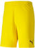 Puma Herren Short teamGOAL 23 Knit Shorts cyber yellow