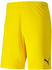 Puma Herren Short teamGOAL 23 Knit Shorts