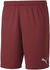 Puma Herren Short teamGOAL 23 Knit Shorts