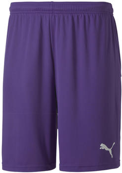 Puma Herren Short teamGOAL 23 Knit Shorts prism violet